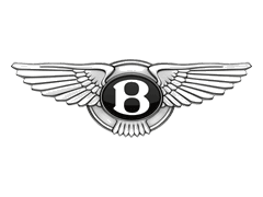 bharatmotors